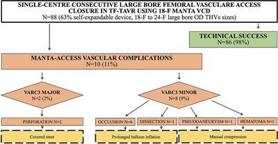 Real-World Experience With a Large Bore Vascular Closure Device During TAVI Procedure: Features and Predictors of Access-Site Vascular Complications